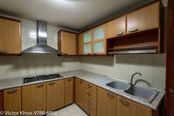 Carissa Park Condominium (D17), Condominium #173614322